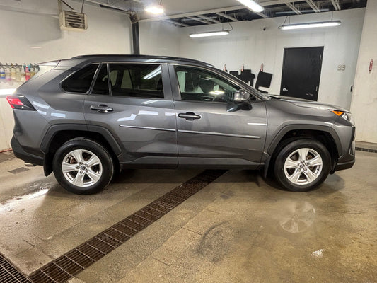 gid://shopify/MediaImage/32128062783645