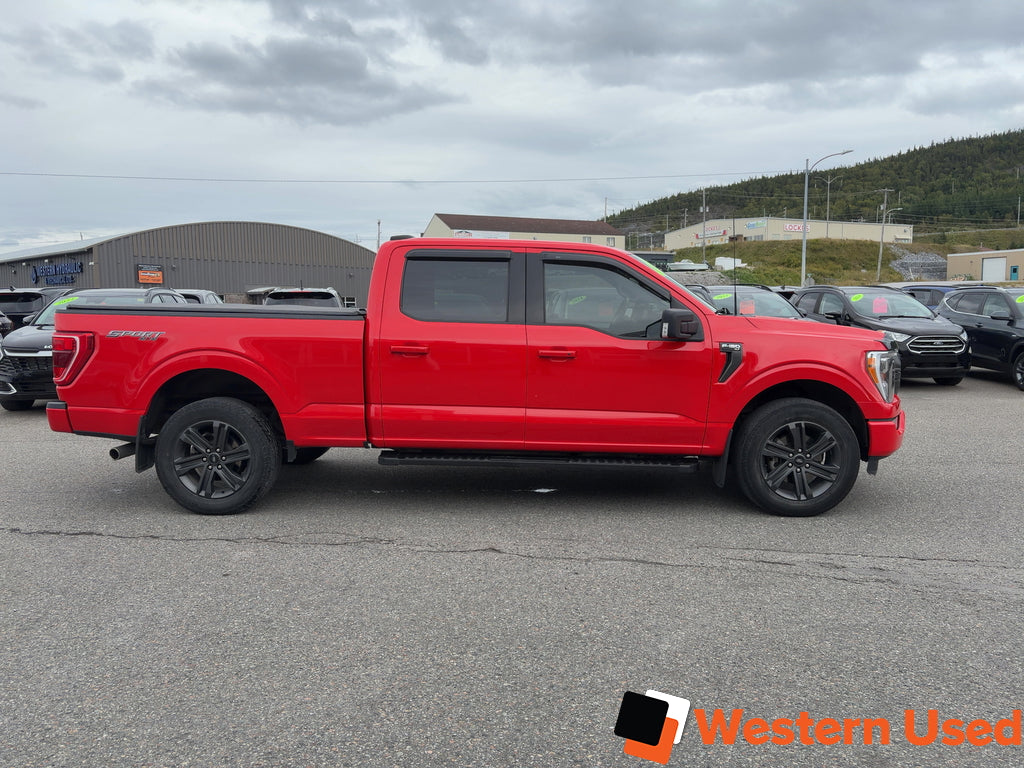 2023 Ford F-150 XLT 4WD SuperCrew 6.5' Box