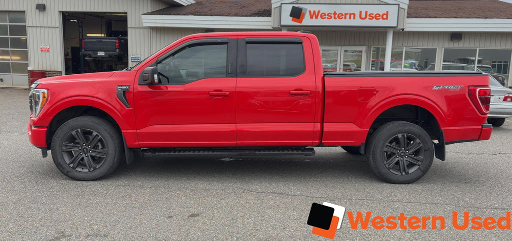 2023 Ford F-150 XLT 4WD SuperCrew 6.5' Box
