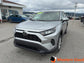 2022 Toyota RAV4 LE FWD